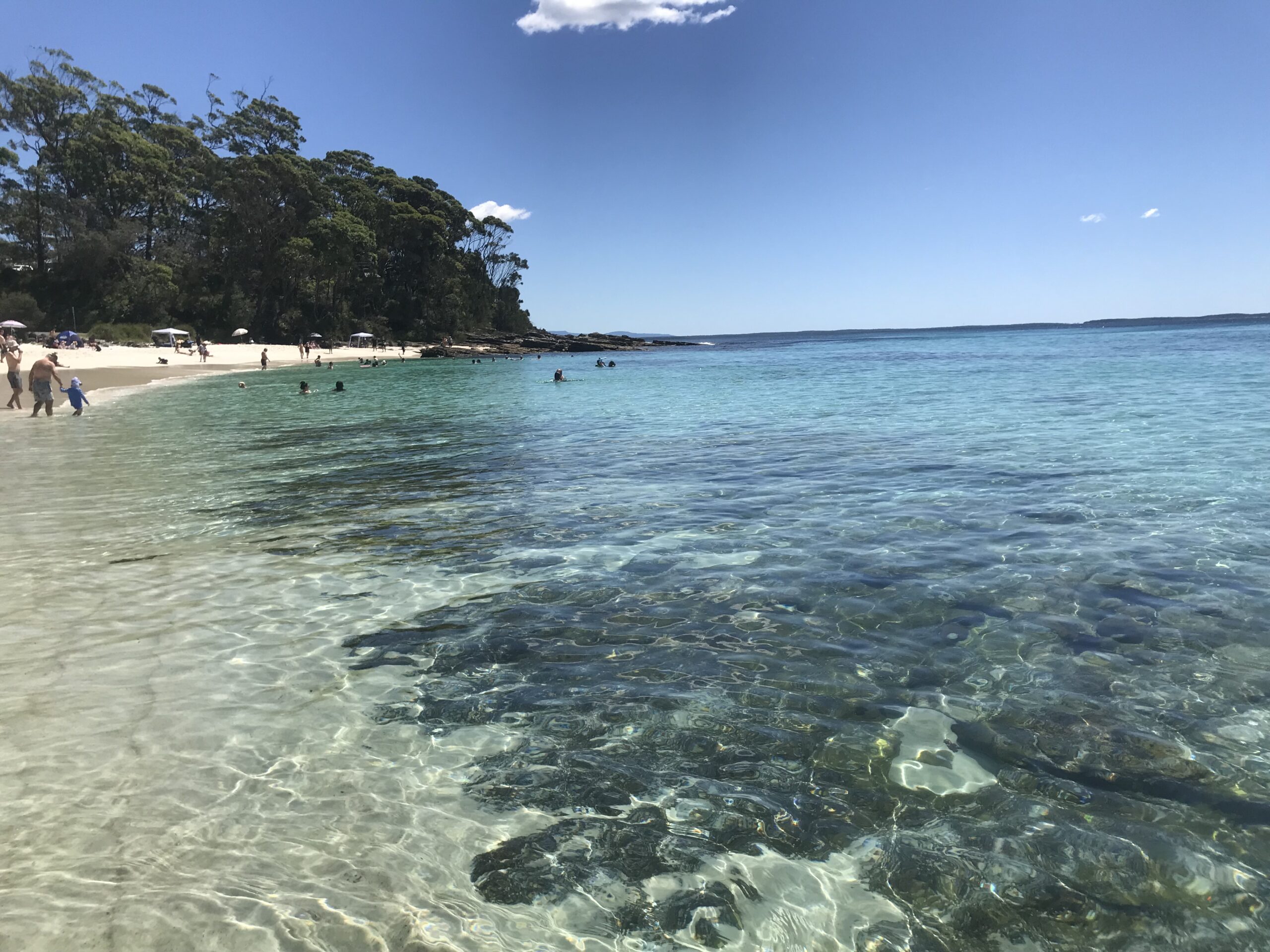 Da Sydney a Melbourne – Viaggio lungo la Sapphire Coast