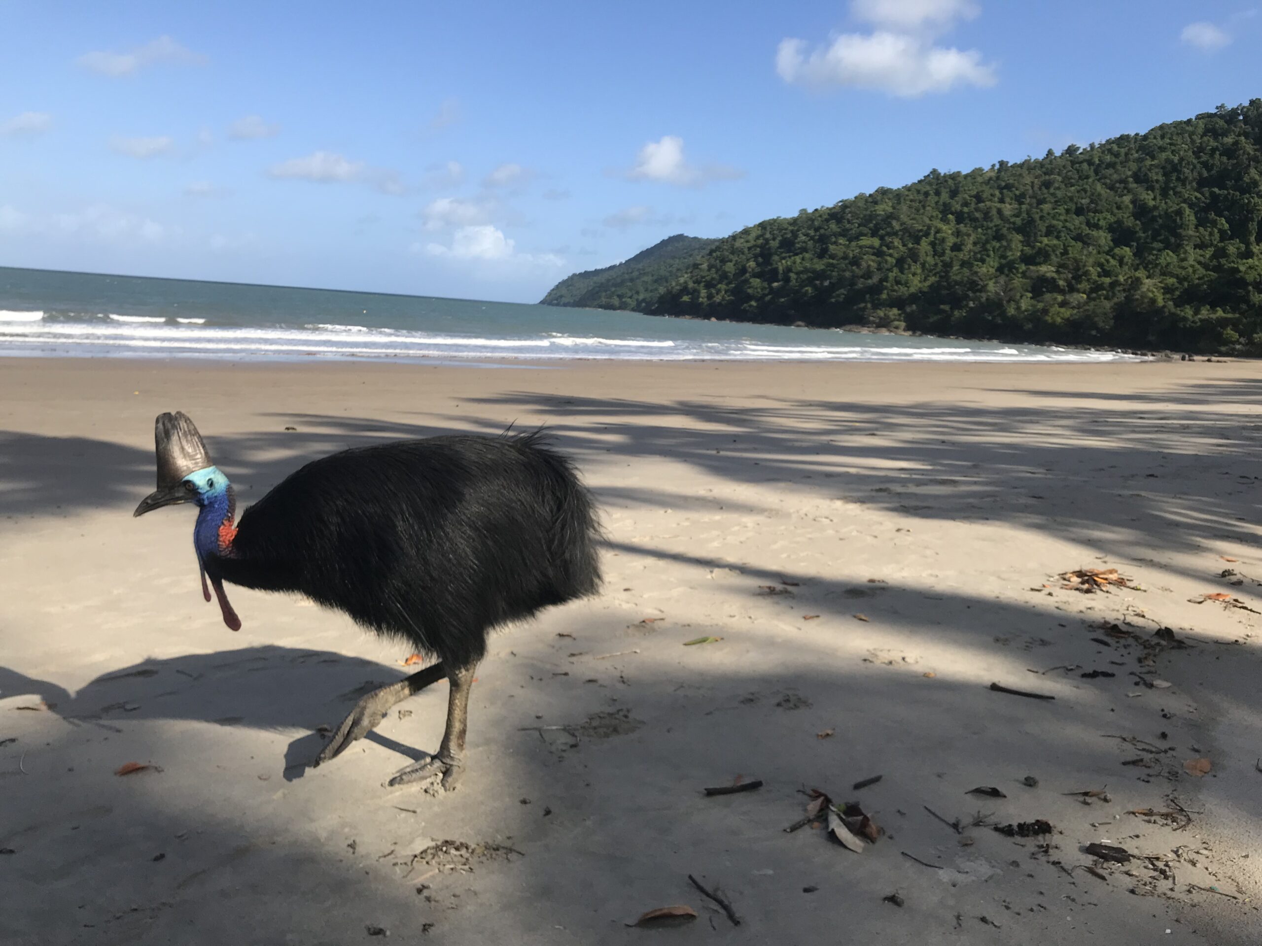 Da Cairns a Sydney – La East Coast