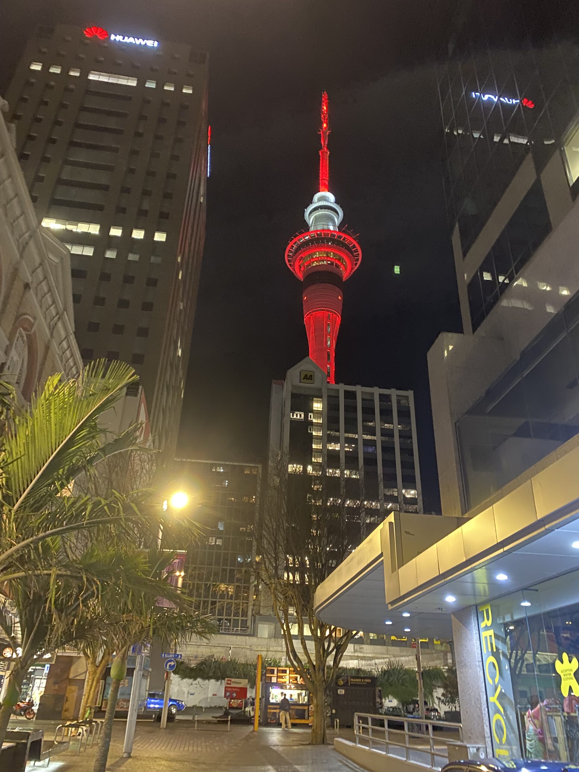 Da Auckland a Napier