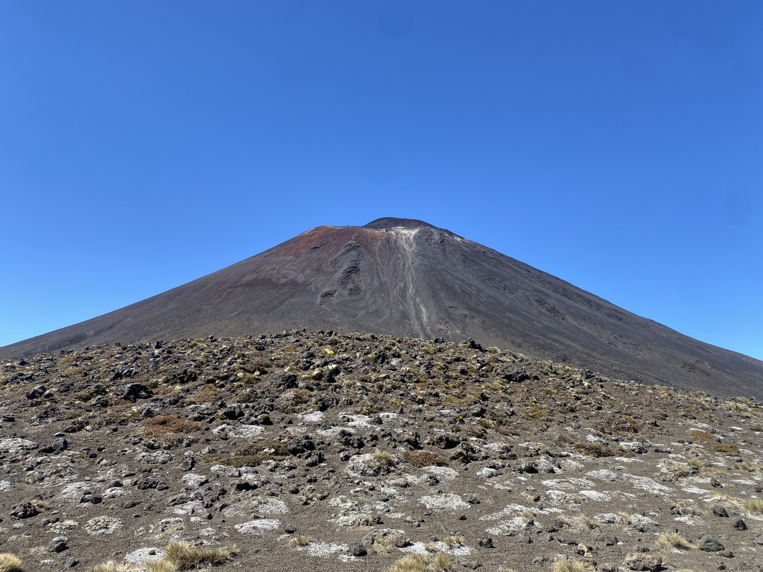 Da Napier a Wellington