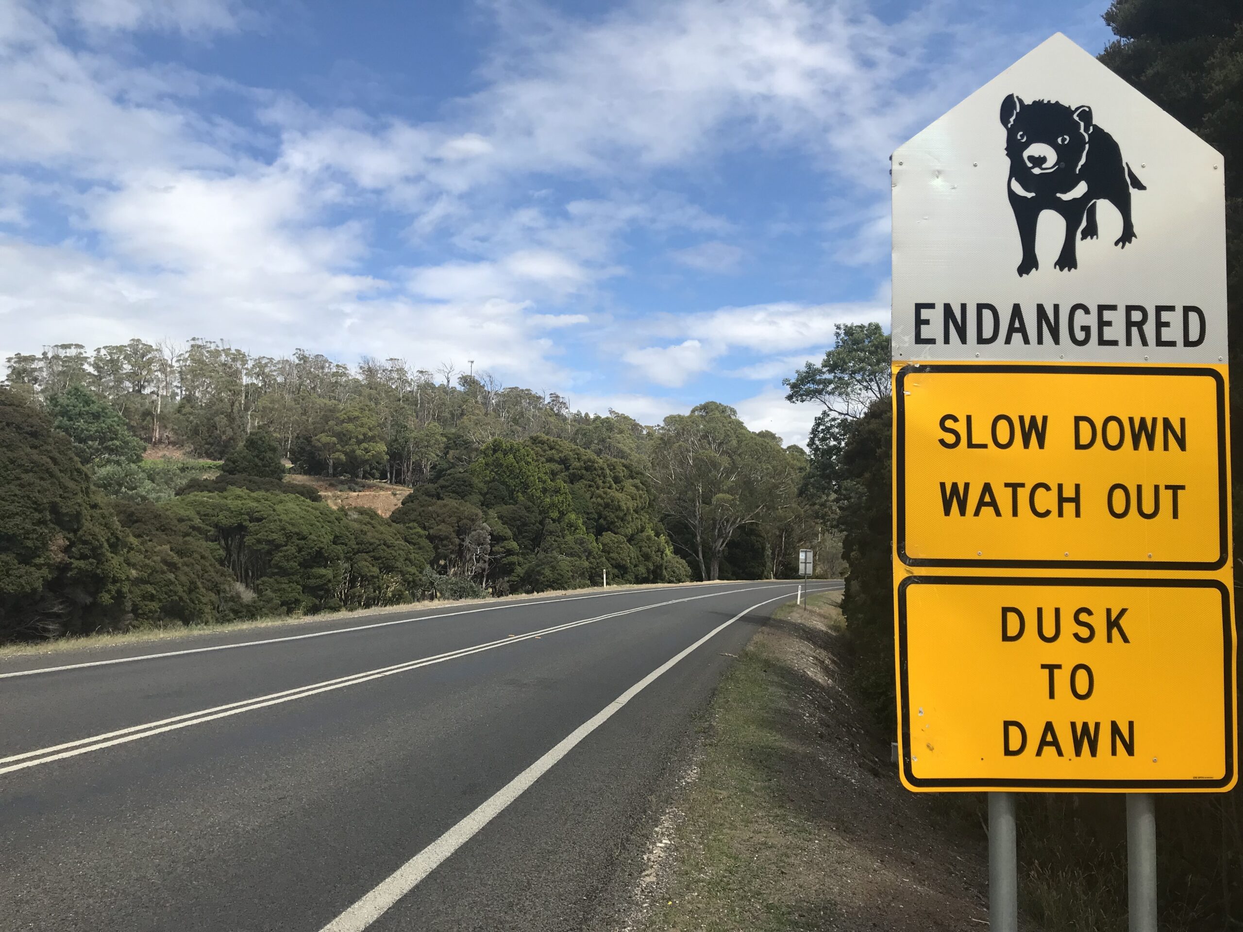 Il mio viaggio in Tasmania (Tassie)