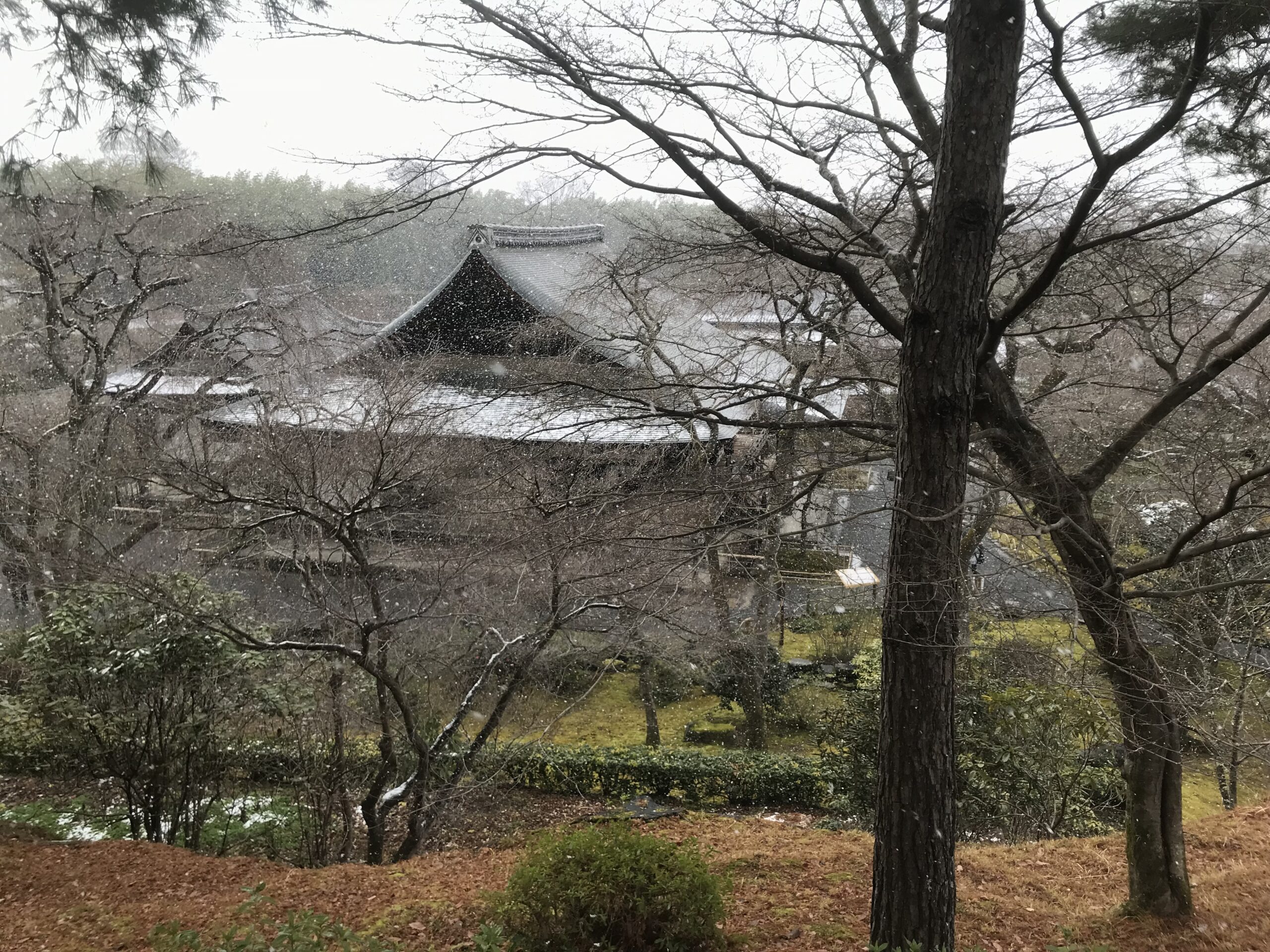 Cosa fare a Kyoto